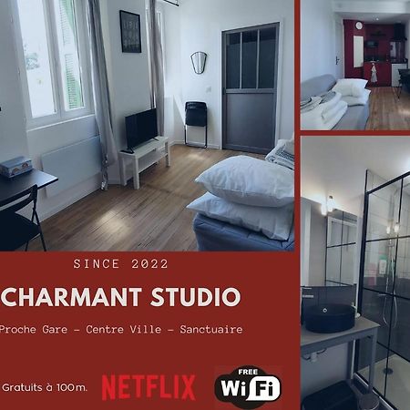 Charmant Studio Proche Centre Ville Et Gare ลูร์ด ภายนอก รูปภาพ